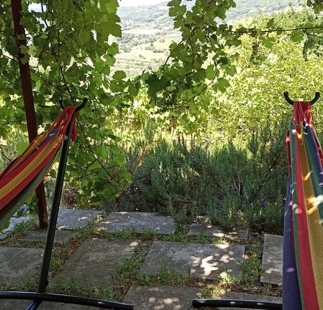 Bed & Breakfast B&B Lavanda E Rosmarino Capolona Italy