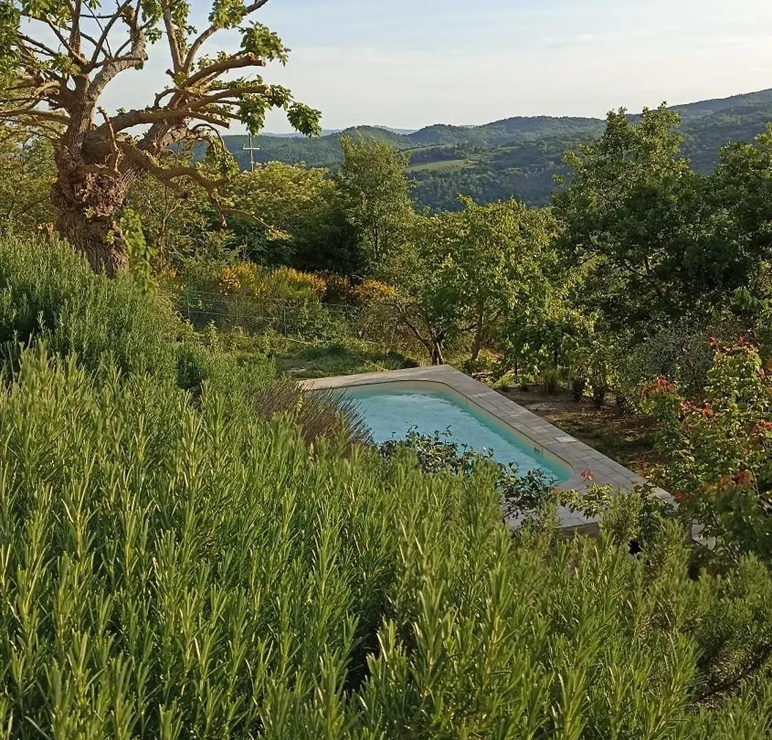 B&B Lavanda E Rosmarino Capolona 0*,  Italy
