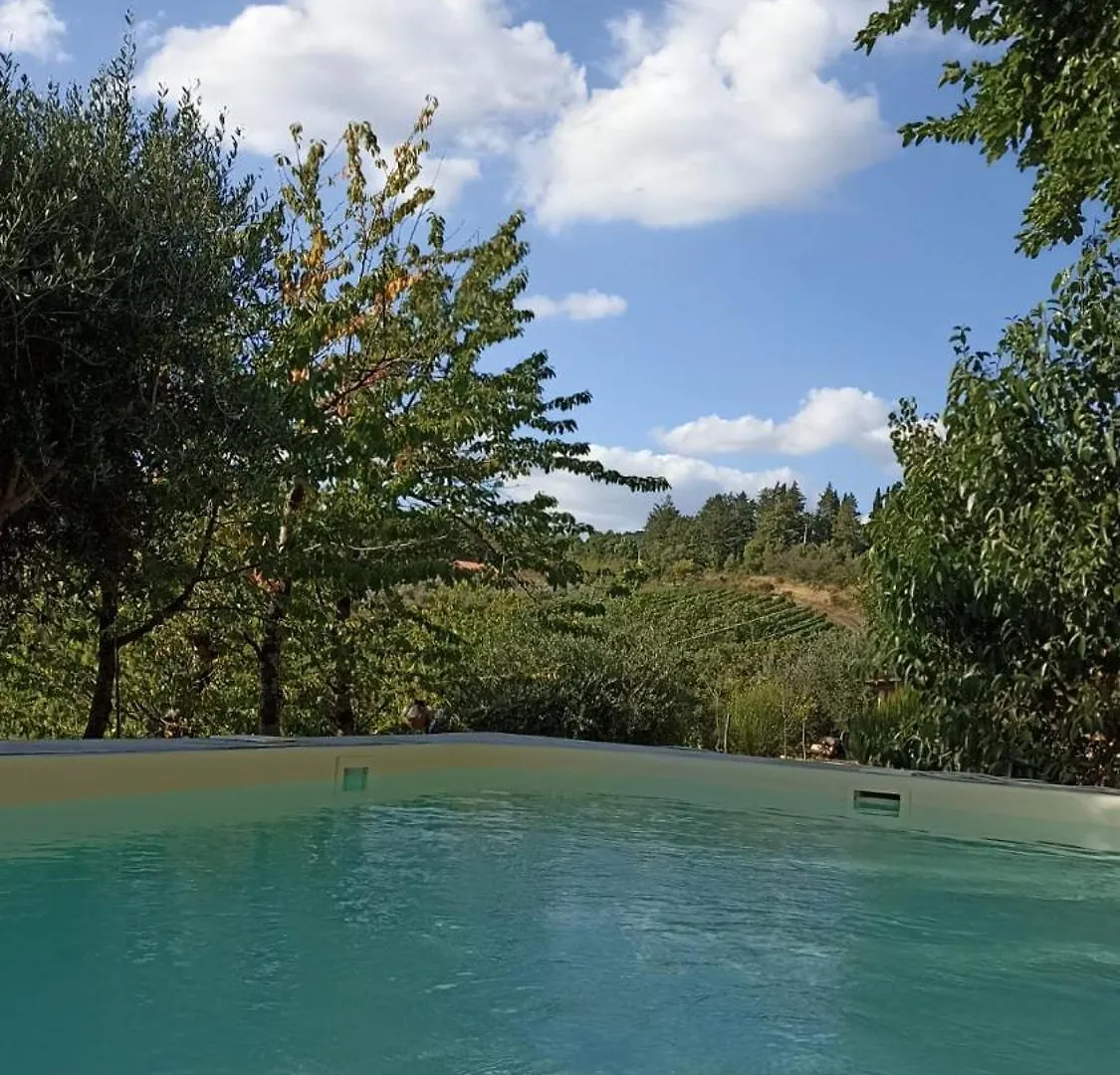 Bed & Breakfast B&B Lavanda E Rosmarino Capolona