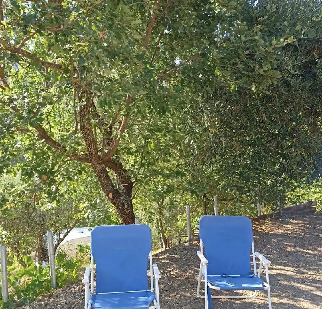 B&B Lavanda E Rosmarino Capolona 0*,